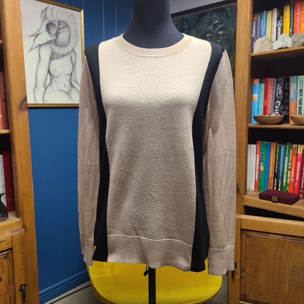 Ann Taylor Loft Womens long sleeve thin sweater Size L